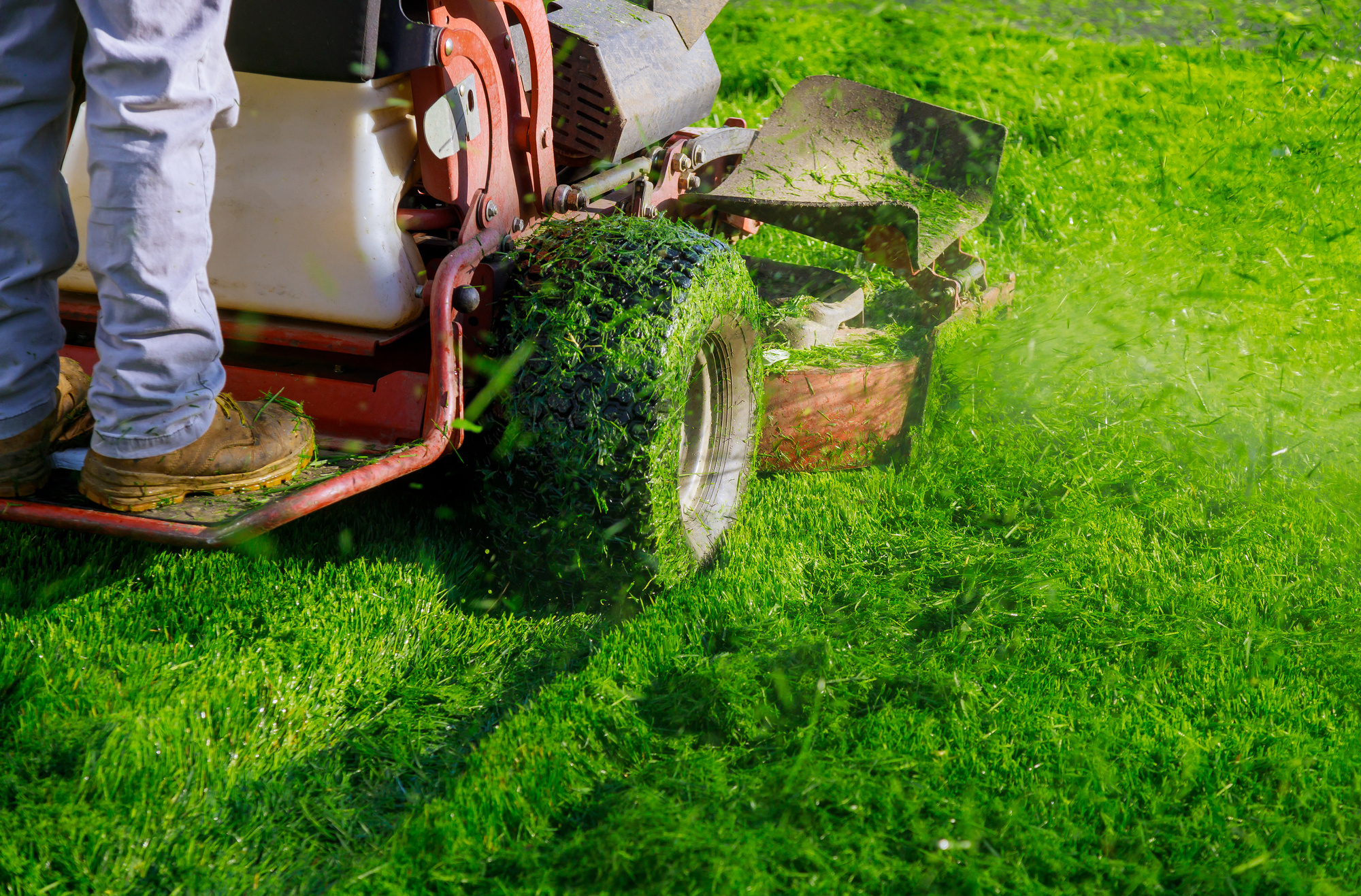 Cutting the grass gardening activity, lawn mower cutting the grass.