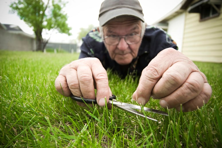 Cutting Grass